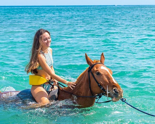 Horseback Ride