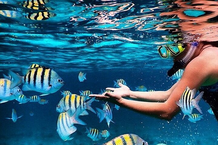 Snorkeling